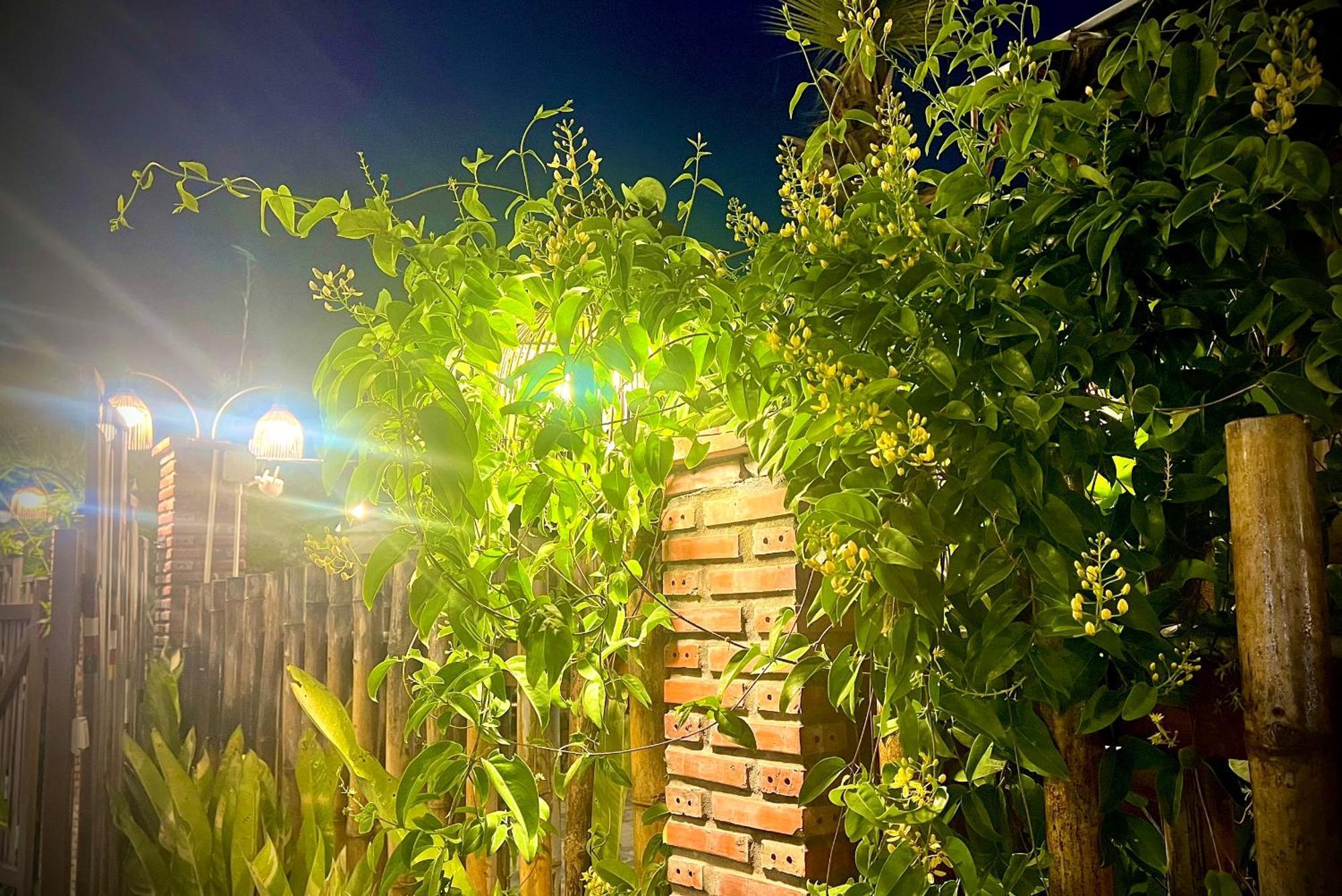 Ben Do Xua Homestay & Coffee Cai Rang Εξωτερικό φωτογραφία